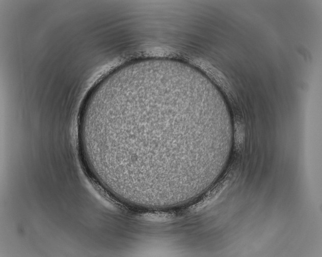 X0000112070630200909011023