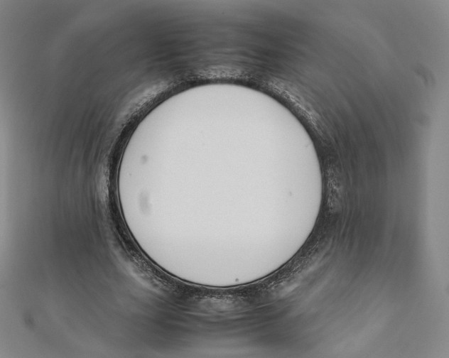 X0000112070631200909011023