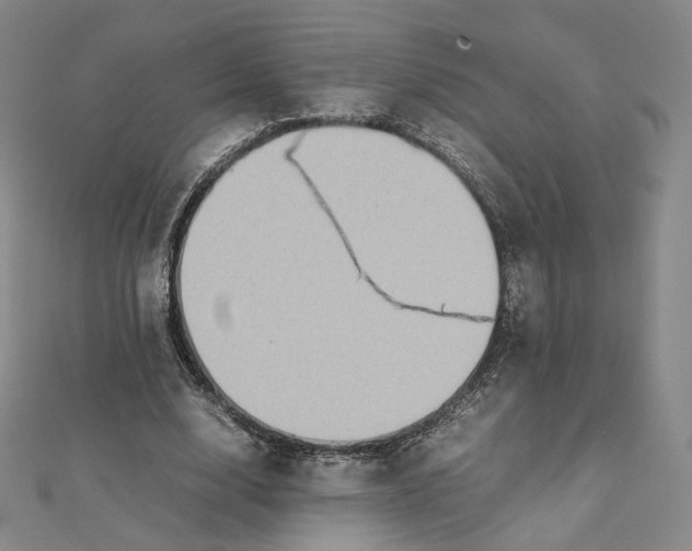X0000112070632200909011023