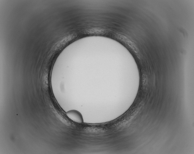 X0000112070633200909011023