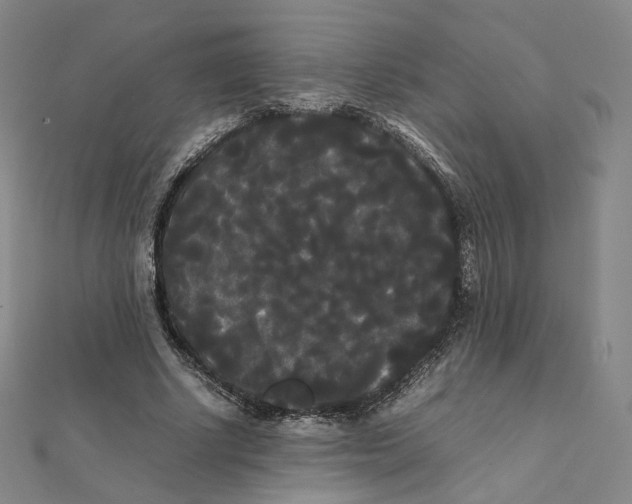 X0000112070634200909011023