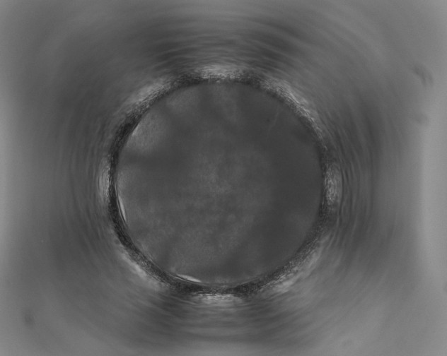 X0000112070637200909011023
