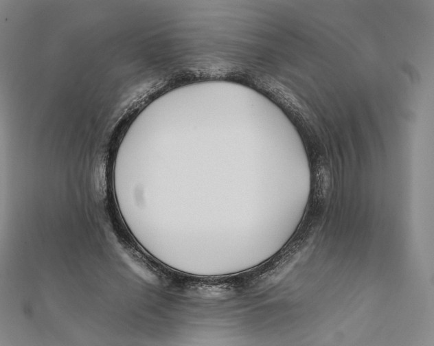 X0000112070638200909011023