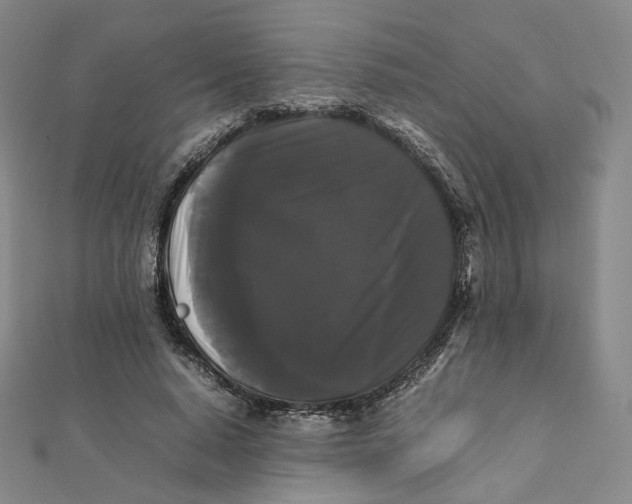 X0000112070640200909011023