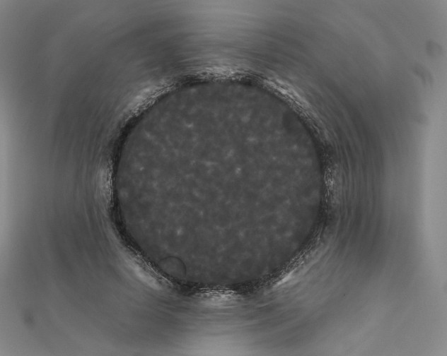 X0000112070642200909011024