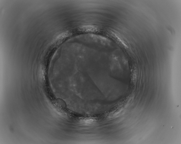X0000112070643200909011024