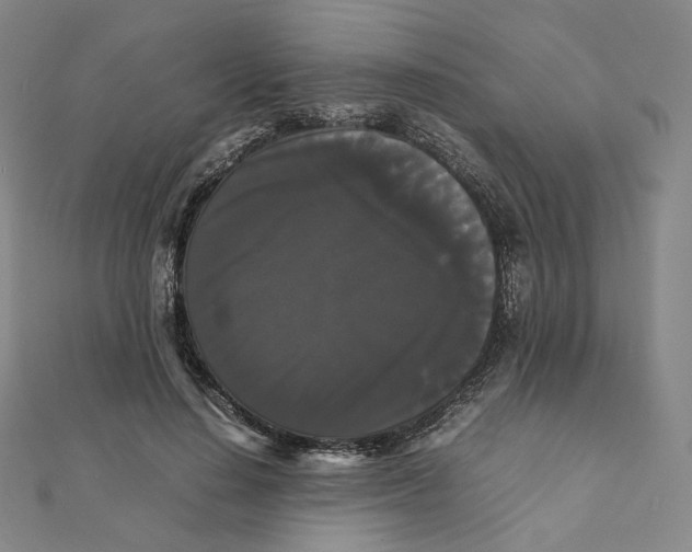 X0000112070644200909011024