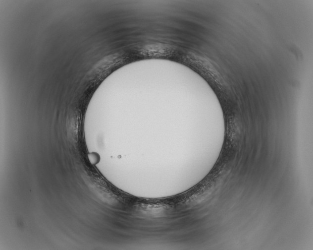 X0000112070645200909011024