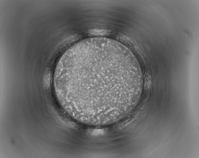 X0000112070647200909011024