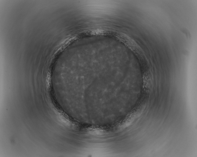 X0000112070648200909011024