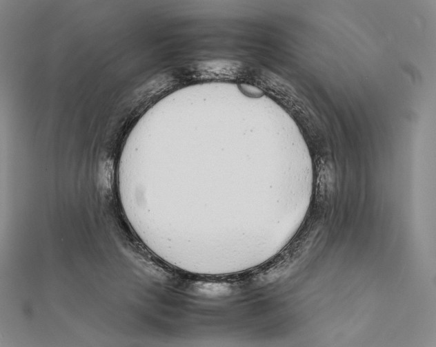 X0000112070649200909011024