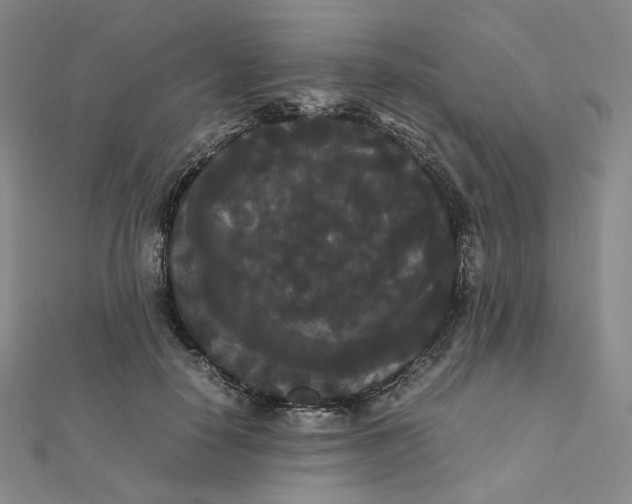 X0000112070650200909011024