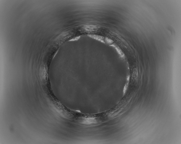 X0000112070651200909011024