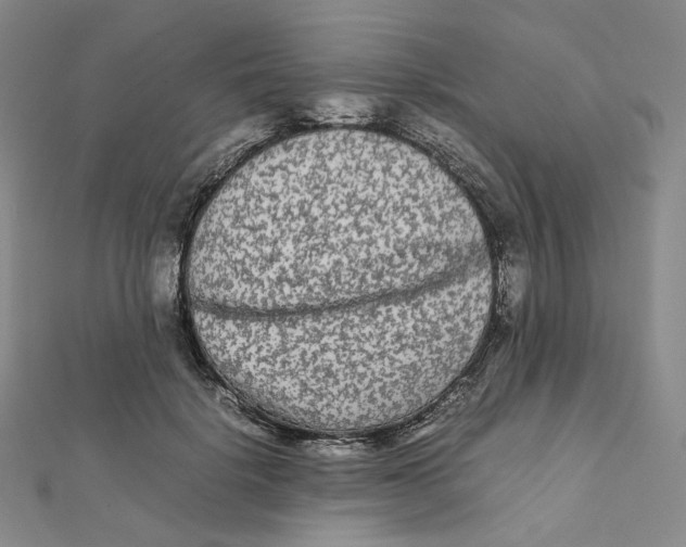 X0000112070652200909011024