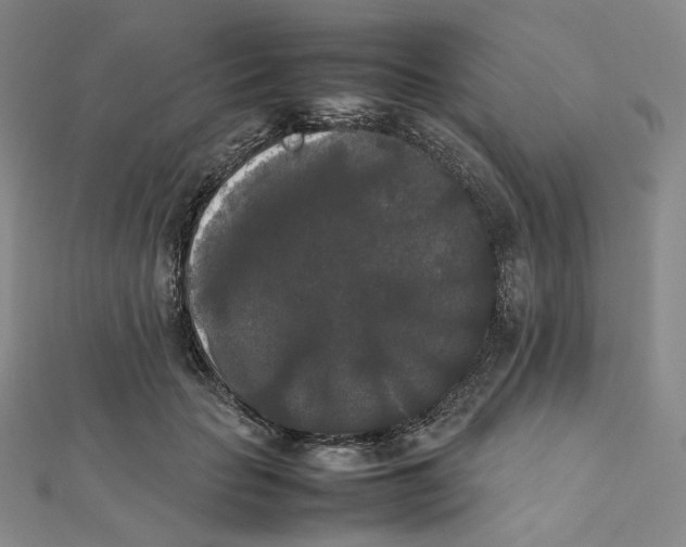 X0000112070653200909011024