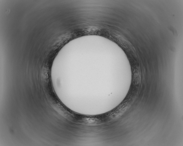 X0000112070654200909011024