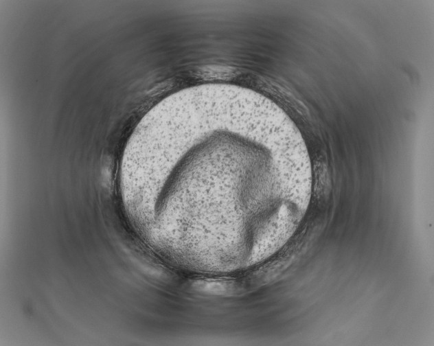 X0000112070655200909011024