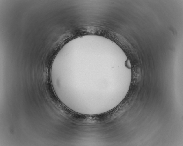 X0000112070656200909011024