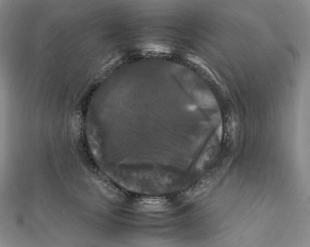 X0000112070659200909011024