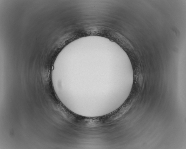 X0000112070660200909011024