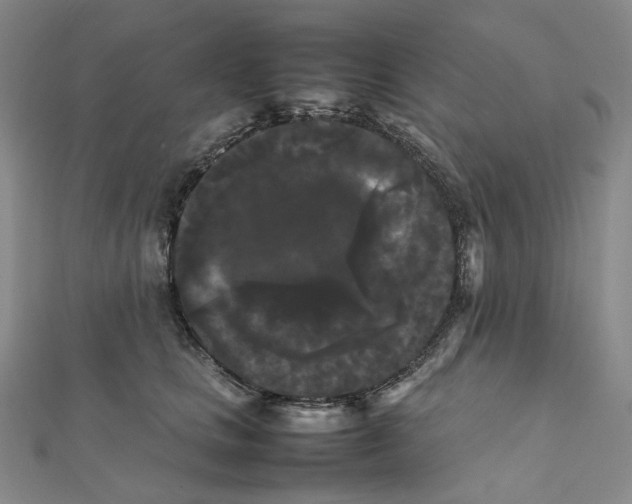 X0000112070661200909011024