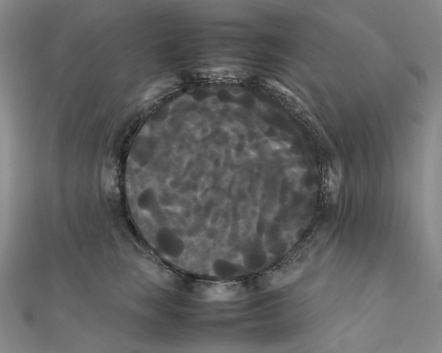 X0000112070663200909011024