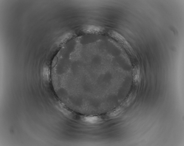 X0000112070669200909011024