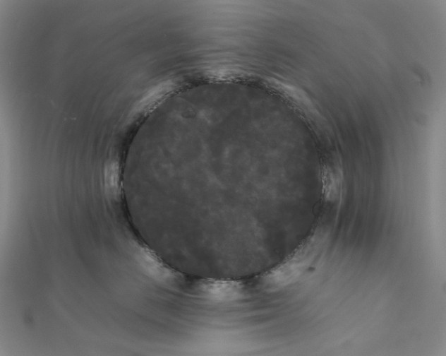 X0000112070670200909011024