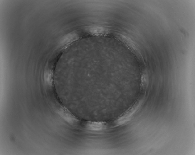 X0000112070671200909011024