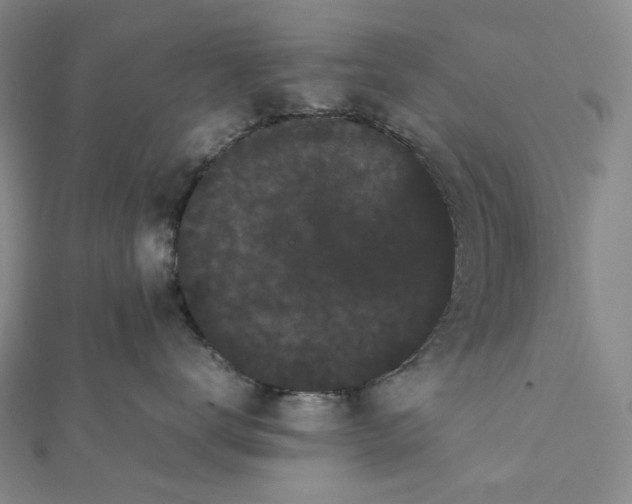 X0000112070672200909011024
