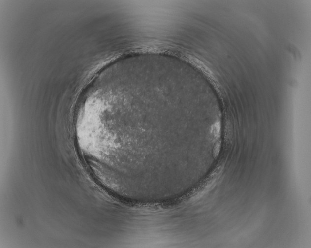 X0000112070673200909011023