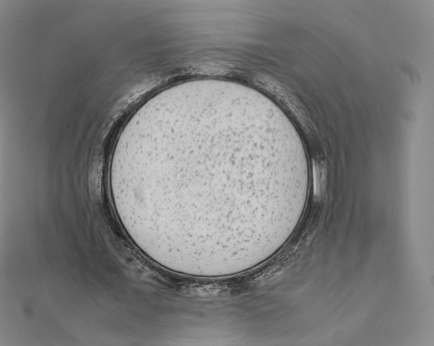 X0000112070675200909011023