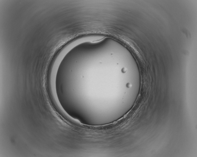 X0000112070677200909011023