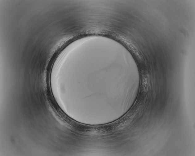 X0000112070678200909011023