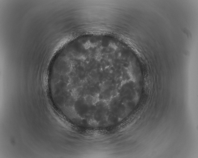 X0000112070679200909011023