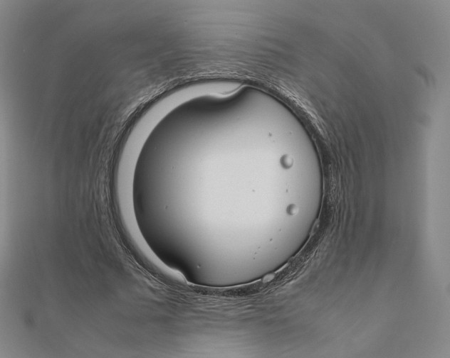 X0000112070681200909011023