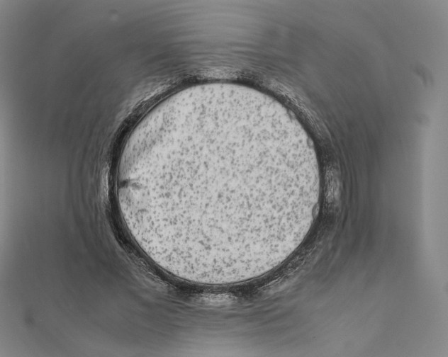 X0000112070685200909011023