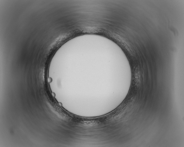 X0000112070686200909011023