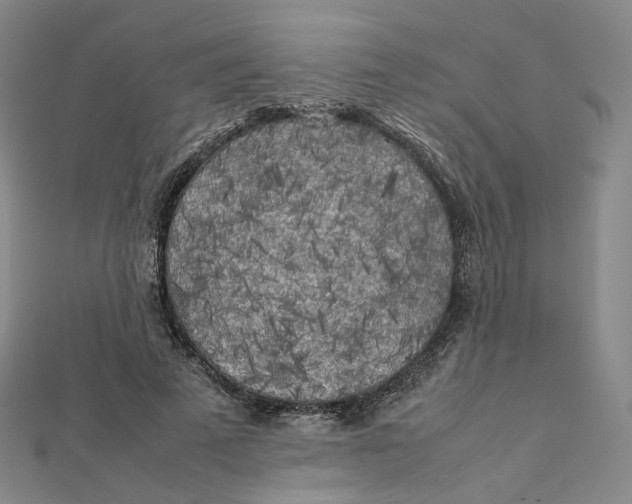 X0000112070689200909011023