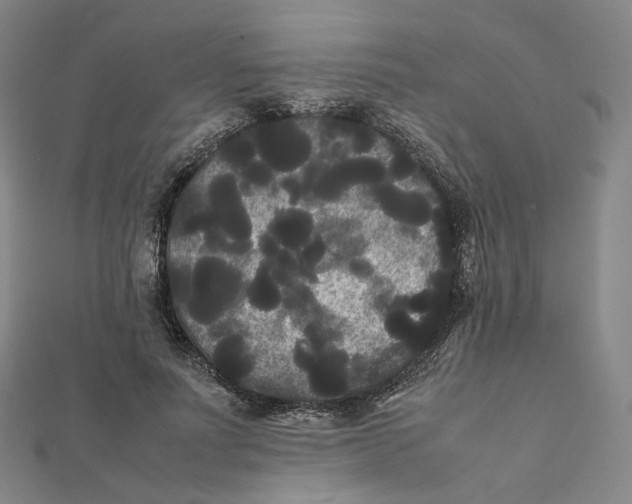 X0000112070691200909011023