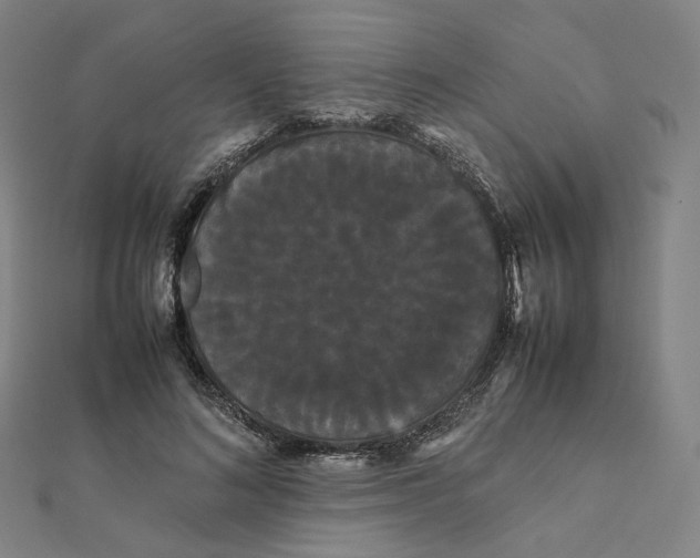 X0000112070692200909011023