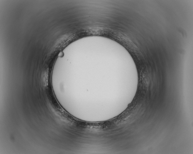 X0000112070694200909011023