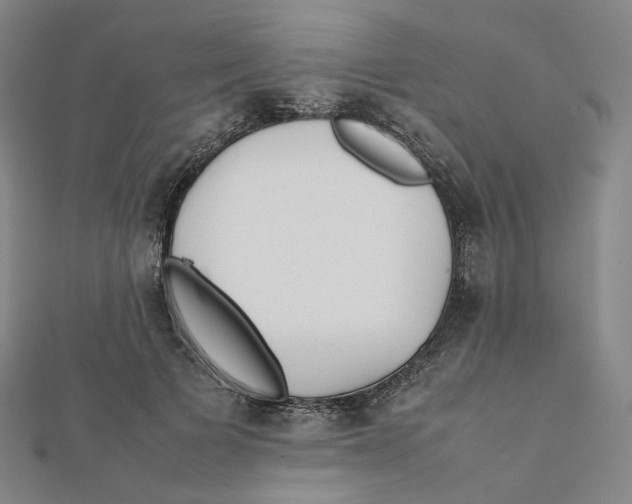 X0000112070697200909011023