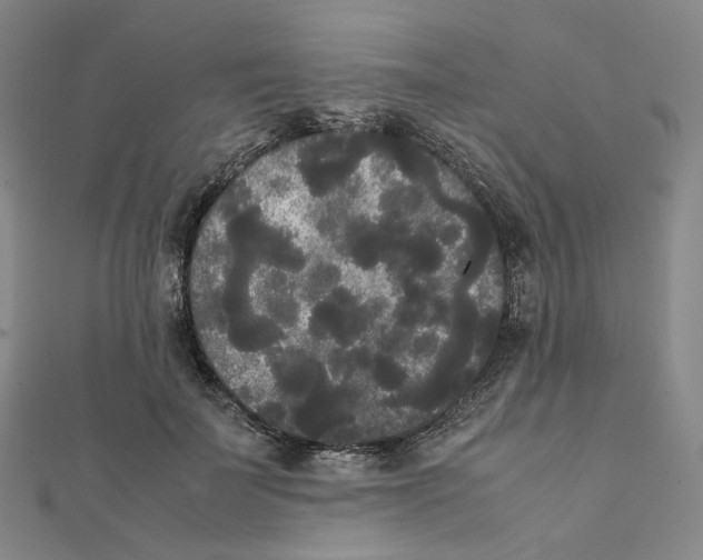 X0000112070699200909011023