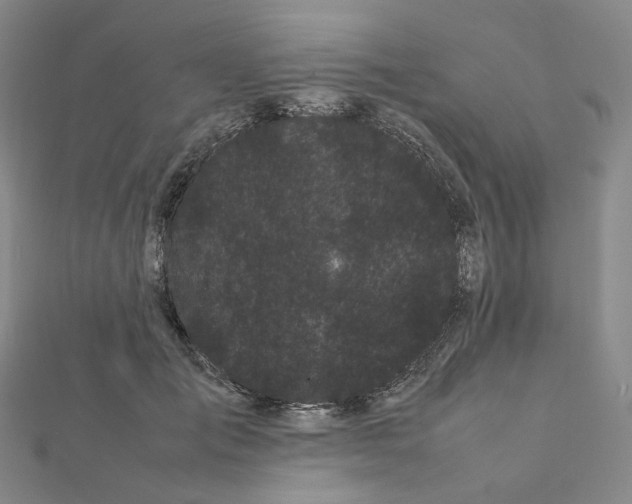 X0000112070701200909011023