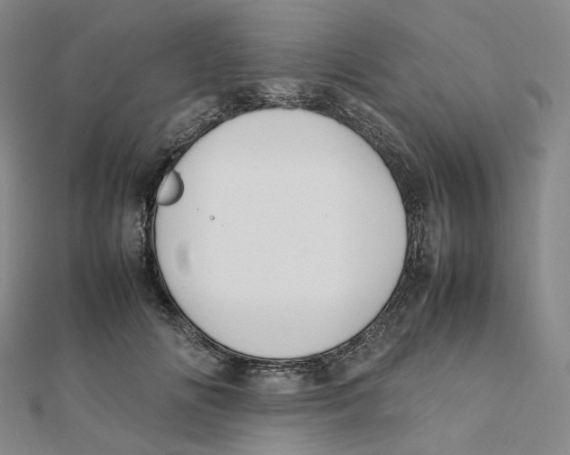 X0000112070702200909011023