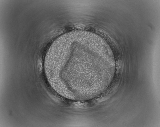 X0000112070703200909011023