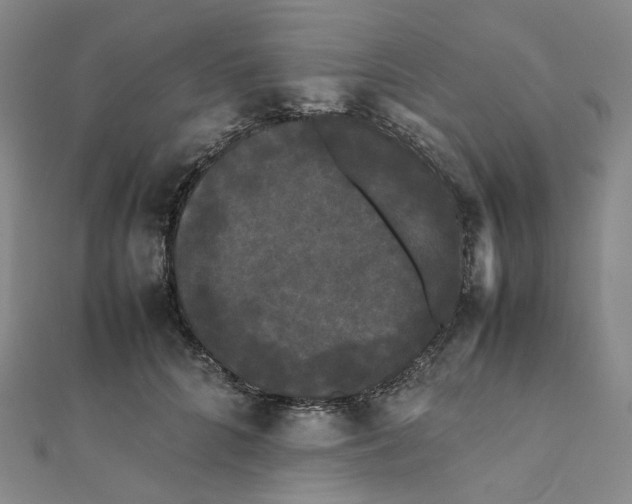 X0000112070704200909011023