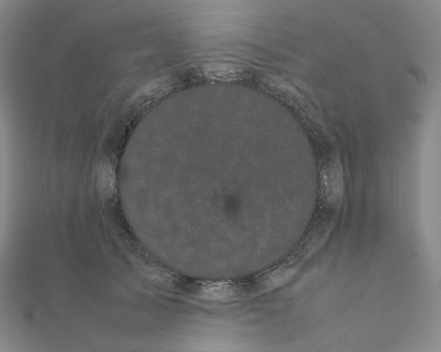 X0000112070705200909011023