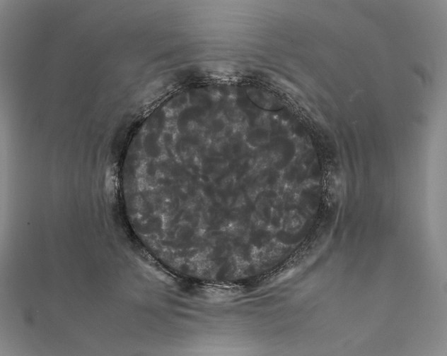 X0000112070707200909011023